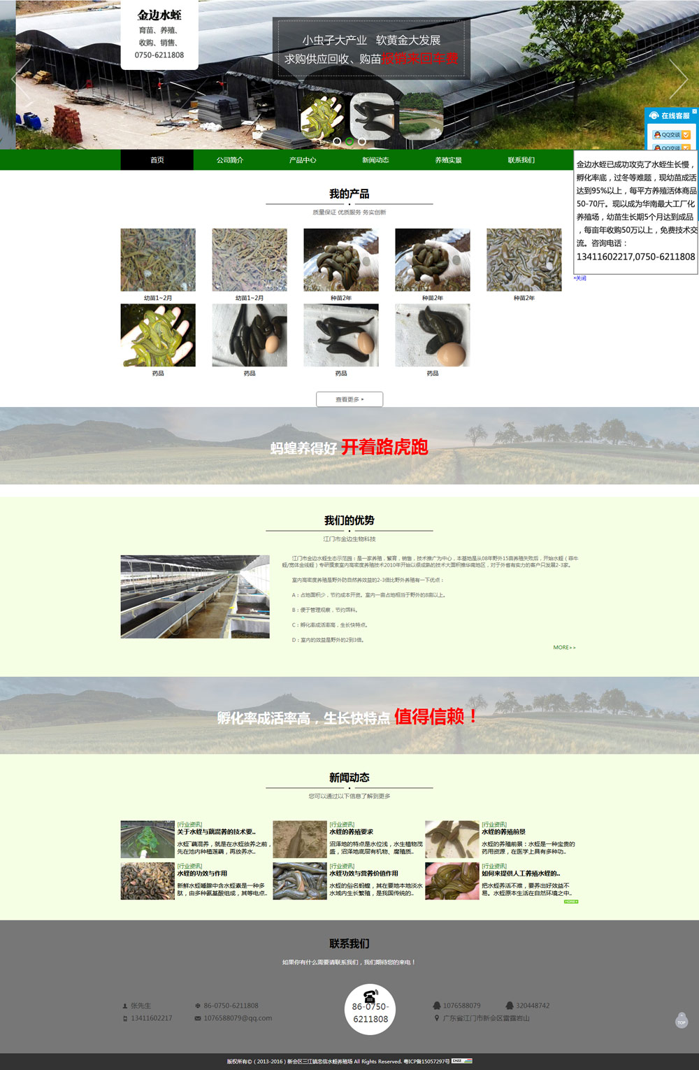江門市金邊生物科技